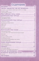 Книжка А4  32стр. "Энциклопедия. В мире знаний. Всё о кошках"