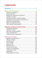 Книжка 222*165мм,  96стр. "Энциклопедия.  Удивительные животные"