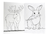 Раскраска "Дикие животные" А5 24стр.