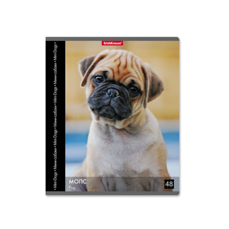 Тетрадь А5 48л кл. Erich Krause " Энциклопедия, Собаки мини-пород"