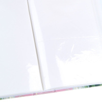 Фотоальбом 200 фото 10*15см Пионы