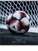 Тетрадь А5  96л кл. Проф-Пресс "Разные футбольные мячи -1" 4 диз.в коробе