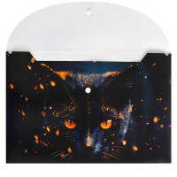 Конверт на кнопке  с рисунком А4 (335*230мм) Кот-маг