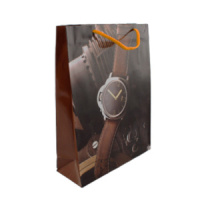 Пакет подар. бумажн. 23*30*8 см, Мужской